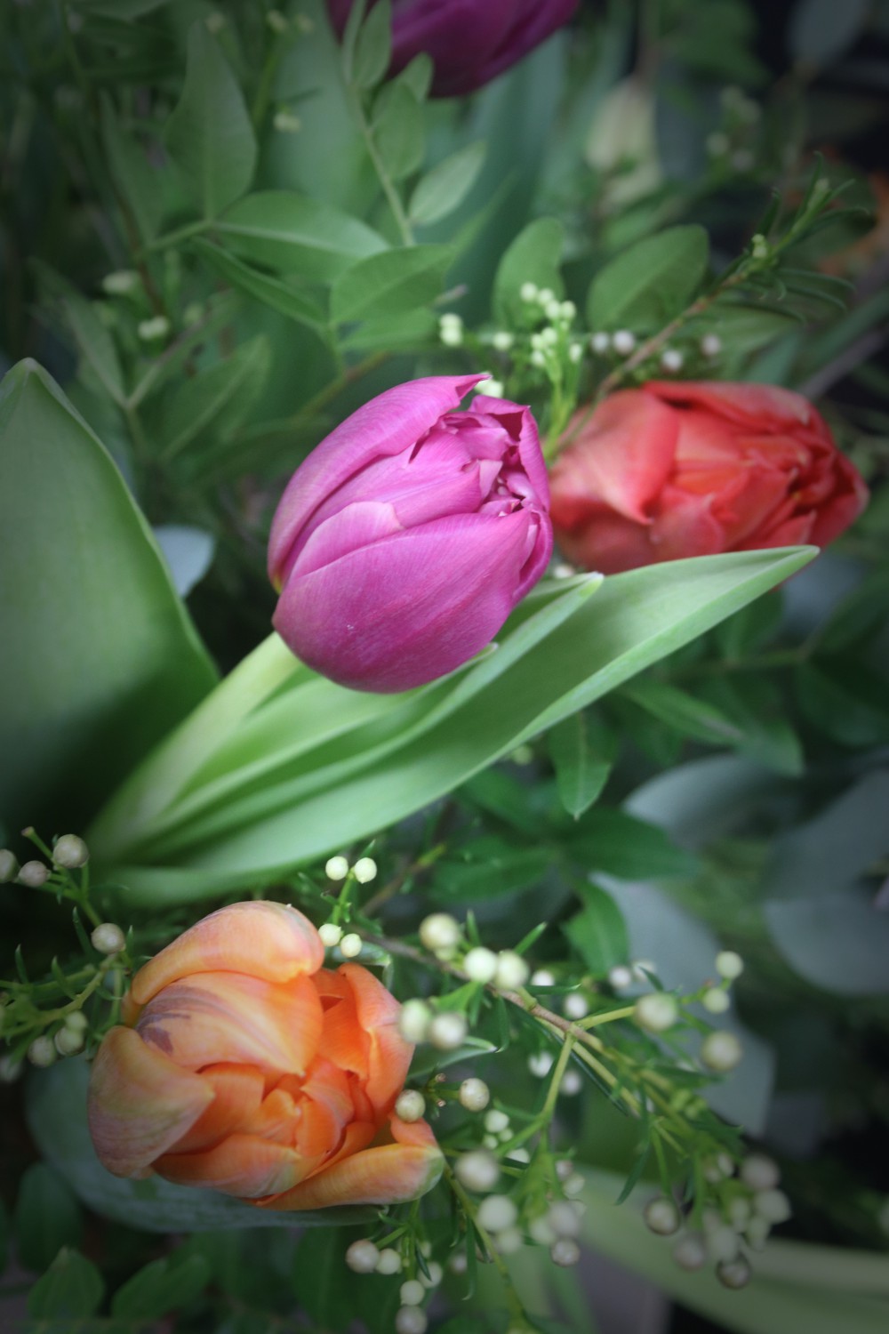 Mixed Tulips 