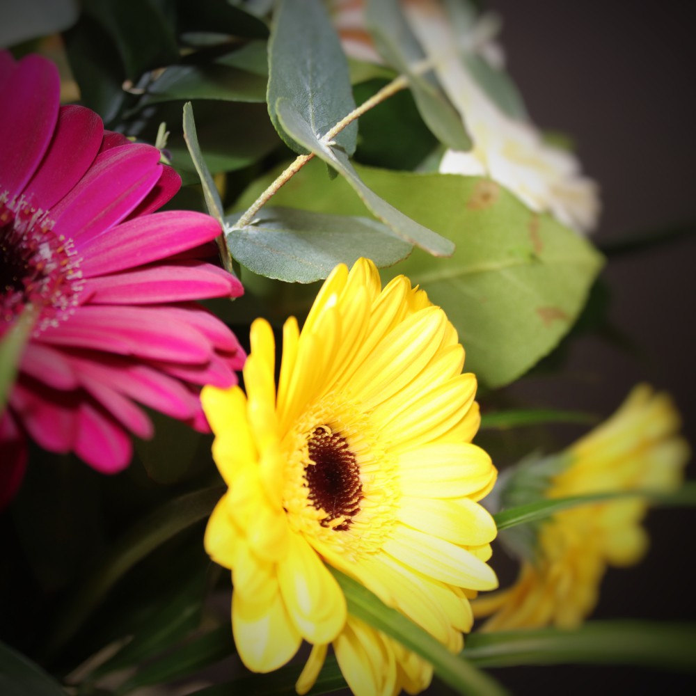 Gerbera boeket