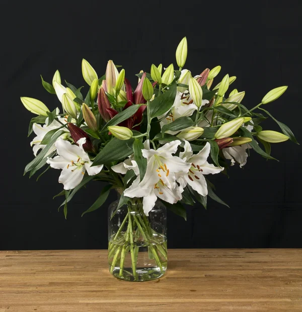 lily love