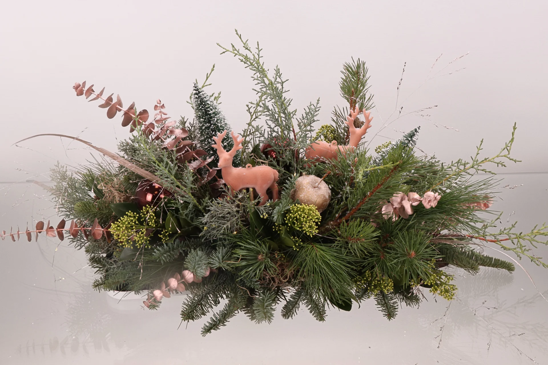 2022e51b-21e4-4dbb-a1ec-aff19ab7dbb2