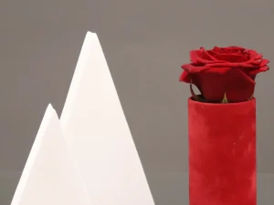 Luxe velvet bloemen doosje Rood (zonder tekst)