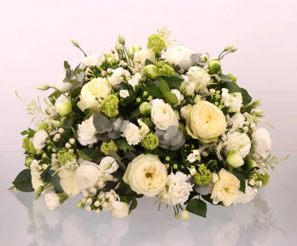A garden of white flowers