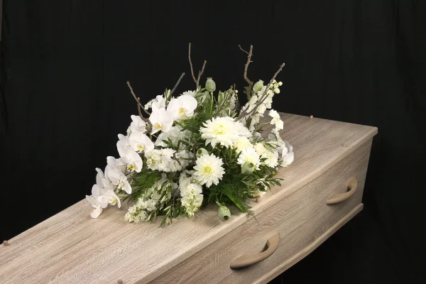Orchidee white